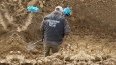Археологи считают найденное поисковиками захоронение ...