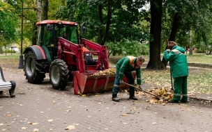 В Петербурге стартовал осенний месячник по благоустройству