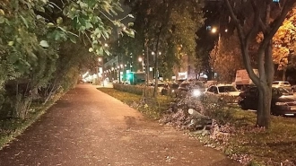 За ночь шторм повалил в Петербурге 13 деревьев