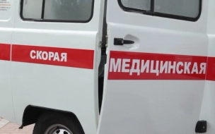 В Петродворцовом районе школьница пострадала во время ДТП