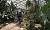 В Петербурге закроют Ботанический сад на три дня из-за жары