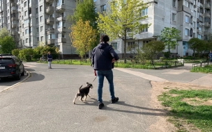 В первой декаде сентября в Петербурге солнце светило свыше 100 часов