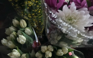 Петербург попал в тройку городов по росту цен на цветы к 8 марта