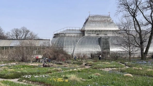 Ботанический сад Петербурга с 28 апреля заработает по летнему графику