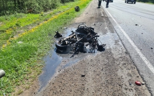 Мотоциклист погиб в аварии на дороге под Гатчиной