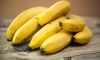 В Петербург привезли более 180 тонн зараженных бананов