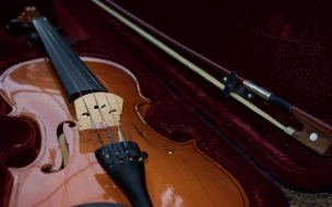 В Петербурге открылась V Всероссийская выставка скрипичных мастеров