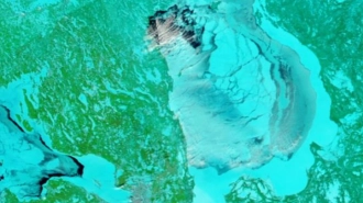 Ладога постепенно покрывается льдом из-за морозов
