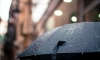 МЧС предупреждает об ухудшении погоды в Петербурге во вторник