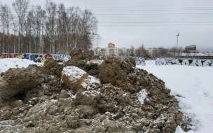 Депутат МО "Гражданка" подал заявление в полицию по факту складирования грунта в Муринском парке
