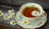 Ленобласть стала лидером по производству чая и кофе в РФ