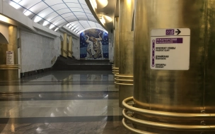 Полиция поймала подростка, который нарисовал свастику на станции метро "Проспект Славы"