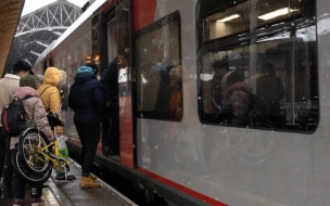 Расписание пригородных поездов в Петербурге временно изменится в феврале