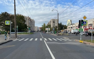 Новые светофоры повышают безопасность пешеходов в Московском и Невском районах
