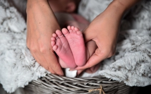 На прошлой неделе в Ленобласти насчитали почти 200 новороджённых