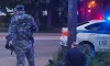 В Петербурге задержан нетрезвый водитель, который врезался в дерево