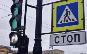 В центре Петербурга установлены антивандальные дорожные знаки