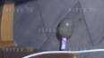 В Петербурге неизвестный кинул гранату в окно квартиры