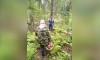 Спасатели Тосно нашли заблудившуюся в лесу пенсионерку с грибами