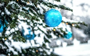 Петербуржцам пообещали морозный и снежный Новый год