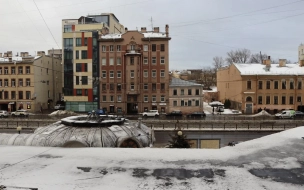 Синоптик Колесов рассказал, когда в Петербурге выпадет снег