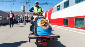 На ОЖД за полгода перевезли более 3,5 тысяч домашних животных без сопровождения хозяев