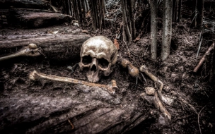 Грибники обнаружили человеческие останки возле озера Каменка