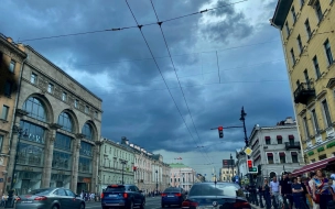 МЧС: в Петербурге в ближайшее время начнутся ливни