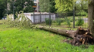 Два человека погибли во время шторма в Петербурге