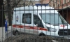 Микроавтобус под Петербургом сбил жительницу Нижегородской области