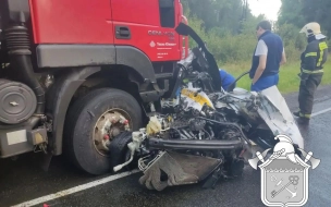 Во Всеволожском районе в лобовом столкновении мусоровоза и такси погиб водитель