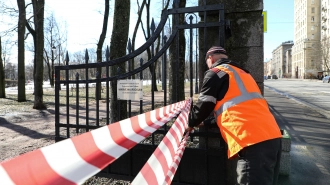 В Петербурге 1 апреля стартует месяц благоустройства