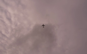 Самолёт авиакомпании "Ямал" при взлёте столкнулся с птицей