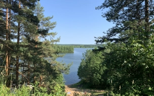 Роспотребнадзор Петербурга назвал лишь один безопасный для купания водоем