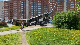 Прокуратура начала проверку после ДТП с автобусом в Петербурге