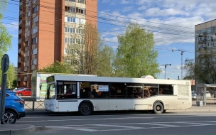В общественном транспорте Луги сохранят льготный проезд