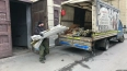 В Петербурге от незаконных объектов торговли освободили ...