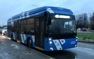 За пять лет Петербург получит 600 новых трамваев и 300 троллейбусов