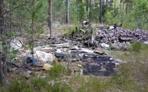 Прокуратура добилась очистки леса от гор мусора во Всеволожском районе