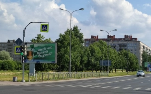 Петербургские власти смогут рассматривать судебные дела о нарушениях в наружной рекламе