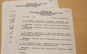 Совет депутатов Выборгского района утвердил претендентов в представительные органы