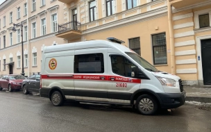 Бастрыкин поручил провести проверку по факту смерти 10-летнего ребенка в Петербурге