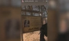 Полиция Москвы проверит видео с блогером, справляющим нужду на фоне портрета ветерана