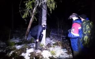 Спасатели вывели из леса заблудившегося мужчину в районе деревни Хвалово