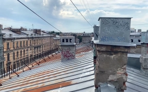 Экскурсоводы по крышам Петербурга подрались из-за "точки"