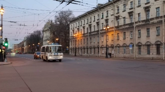 Полиция Петербурга разыскивает стрелка из желтого "Мини Купера"