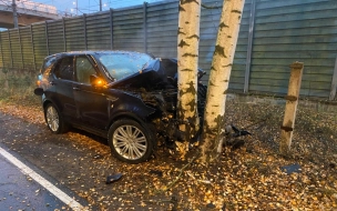 Внедорожник влетел в дерево у Комарово