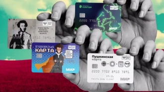 За неделю в России выпустили 1,5 млн Пушкинских карт