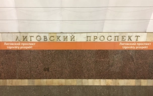 Ещё на двух станциях петербургского метро готовятся ввести ограничения