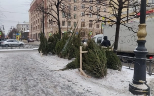 У метро "Чернышевская" прикрыли незаконную елочную ярмарку